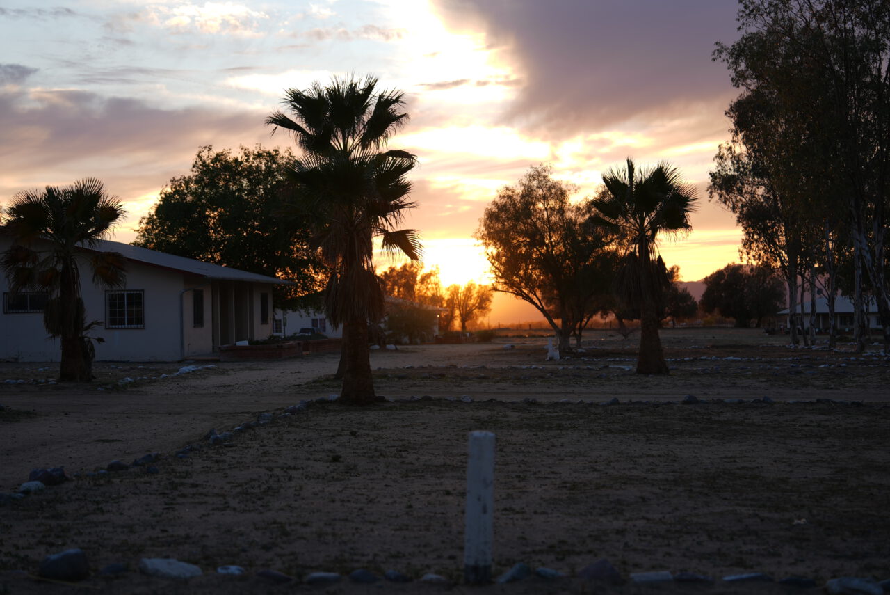 DSC07649